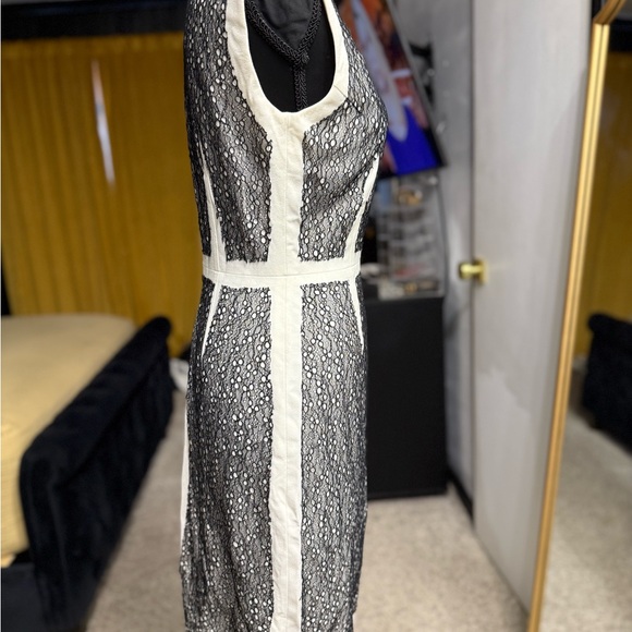 BCBGMaxAzria Elegant Lace Overlay Dress in Black and White - Picture 4 of 8